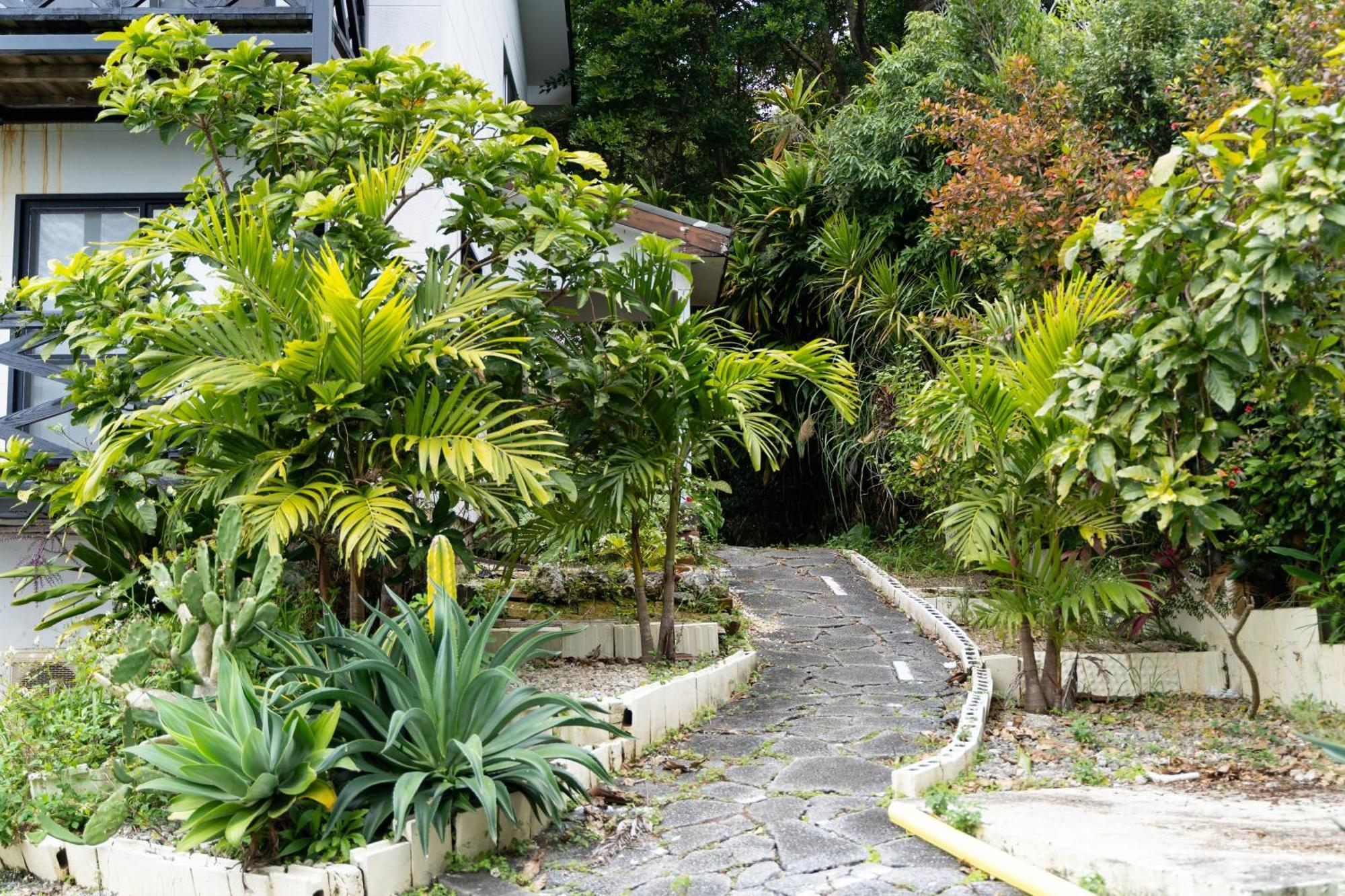Mambo Hostel Okinawa Motobu Zewnętrze zdjęcie